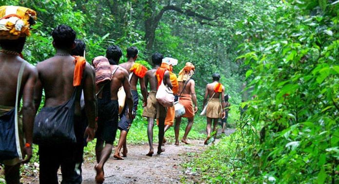 മഴ ; കാനന പാതയില് നിയന്ത്രണം മഴ ; കാനന പാതയില് നിയന്ത്രണം