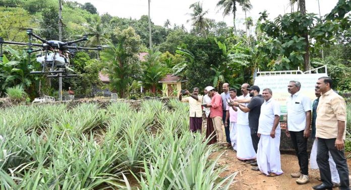പൈനാപ്പിൾ കൃഷിയിൽ ഡ്രോൺ ഉപയോഗിച്ച് വളപ്രയോഗം ; സാങ്കേതിക വിദ്യ പരിചയപ്പെടുത്തി കെവികെ പൈനാപ്പിൾ കൃഷിയിൽ ഡ്രോൺ ഉപയോഗിച്ച് വളപ്രയോഗം ; സാങ്കേതിക വിദ്യ പരിചയപ്പെടുത്തി കെവികെ