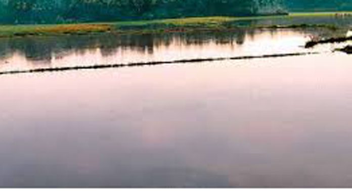 ബണ്ടുകൾ തകർന്നു ; മേപ്രാൽ പാടങ്ങൾ വെള്ളക്കെട്ടിൽ ബണ്ടുകൾ തകർന്നു ; മേപ്രാൽ പാടങ്ങൾ വെള്ളക്കെട്ടിൽ