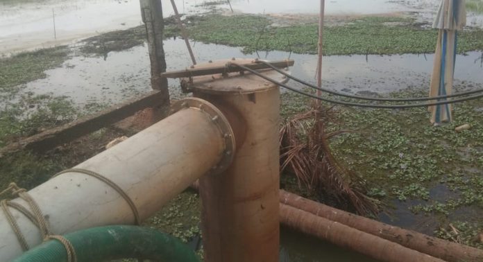 കൈപ്പുഴകരി പാടശേഖരത്തിലെ നെൽകൃഷി വെള്ളത്തിൽ ; മുഖം തിരിച്ച് അധികൃതര് കൈപ്പുഴകരി പാടശേഖരത്തിലെ നെൽകൃഷി വെള്ളത്തിൽ ; മുഖം തിരിച്ച് അധികൃതര്