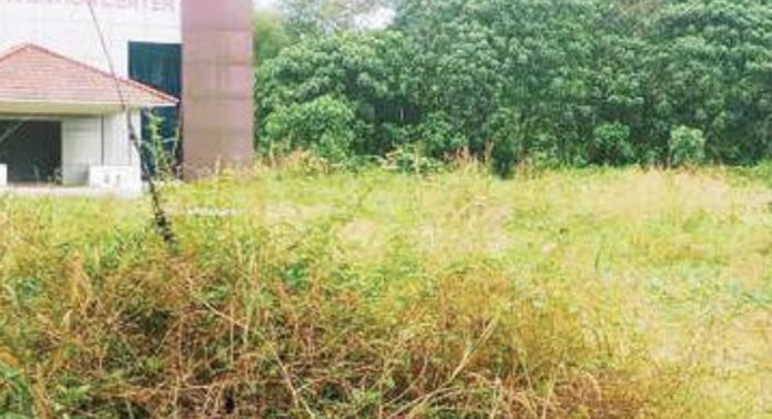 സുബലാ പാർക്ക് പരിസരം കാട് കയറി നശിക്കുന്നു സുബലാ പാർക്ക് പരിസരം കാട് കയറി നശിക്കുന്നു