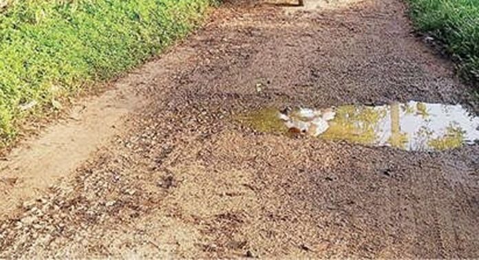 മുണ്ടയ്ക്കമൺ-കോട്ടൂർ തുരുത്ത് പാത തകര്ന്ന് തരിപ്പണമായി മുണ്ടയ്ക്കമൺ-കോട്ടൂർ തുരുത്ത് പാത തകര്ന്ന് തരിപ്പണമായി