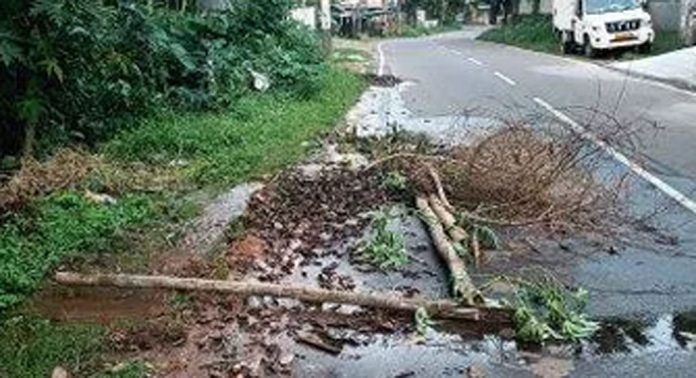 അടിക്കടി പൈപ്പ് പൊട്ടൽ ; വെള്ളം കിട്ടാക്കനിയായി കുറ്റൂരിലെ ജനങ്ങള് അടിക്കടി പൈപ്പ് പൊട്ടൽ ; വെള്ളം കിട്ടാക്കനിയായി കുറ്റൂരിലെ ജനങ്ങള്