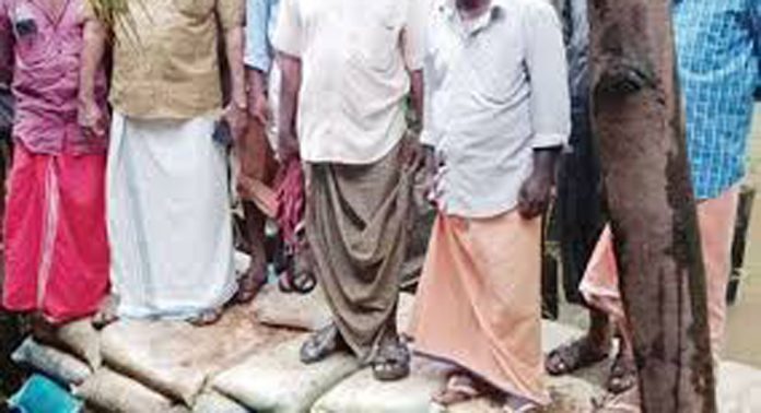 വെള്ളം വറ്റിക്കാനായില്ല ; കോടങ്കേരി പാടശേഖരത്തിലെ നെൽകൃഷി പ്രതിസന്ധിയിൽ വെള്ളം വറ്റിക്കാനായില്ല ; കോടങ്കേരി പാടശേഖരത്തിലെ നെൽകൃഷി പ്രതിസന്ധിയിൽ