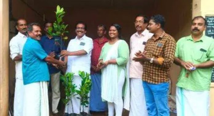 വള്ളിക്കോട് ഗ്രാമപഞ്ചായത്തില് വൃക്ഷതൈ വിതരണം നടന്നു വള്ളിക്കോട് ഗ്രാമപഞ്ചായത്തില് വൃക്ഷതൈ വിതരണം നടന്നു