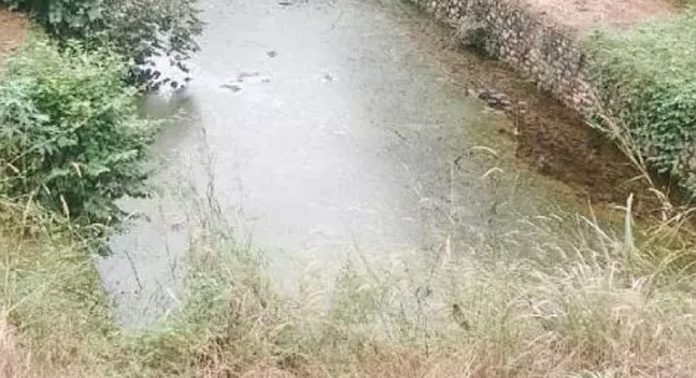 തട്ടയിൽ പാറക്കര മുല്ലോട്ട് ഡാം നവീകരണം കടലാസിൽ ഒതുങ്ങി തട്ടയിൽ പാറക്കര മുല്ലോട്ട് ഡാം നവീകരണം കടലാസിൽ ഒതുങ്ങി