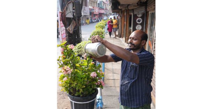 നഗര സൗന്ദര്യവൽക്കരണം : പൂച്ചെടി പരിപാലനത്തിനും പദ്ധതിയുമായി നഗരസഭ നഗര സൗന്ദര്യവൽക്കരണം : പൂച്ചെടി പരിപാലനത്തിനും പദ്ധതിയുമായി നഗരസഭ