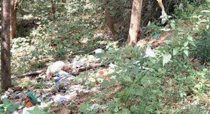 മാലിന്യം കുന്നുകൂടി കരികുളം സംരക്ഷിത വനമേഖല മാലിന്യം കുന്നുകൂടി കരികുളം സംരക്ഷിത വനമേഖല