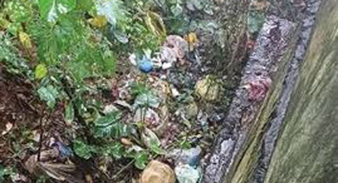 ഇടയാറന്മുള ആഞ്ഞിലിമൂട് കടവിന് സമീപം മാലിന്യം തള്ളൽ പതിവാകുന്നു ഇടയാറന്മുള ആഞ്ഞിലിമൂട് കടവിന് സമീപം മാലിന്യം തള്ളൽ പതിവാകുന്നു
