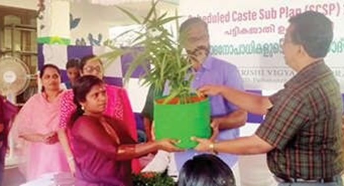 ഇരവിപേരൂരിൽ പട്ടികജാതി ഉപ പദ്ധതിയിൽ കൃഷിയുമായി ബന്ധപെട്ട് ഉത്പാദനോപാധികൾ വിതരണം ചെയ്തു ഇരവിപേരൂരിൽ പട്ടികജാതി ഉപ പദ്ധതിയിൽ കൃഷിയുമായി ബന്ധപെട്ട് ഉത്പാദനോപാധികൾ വിതരണം ചെയ്തു