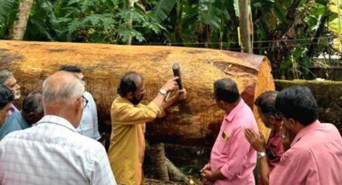 കീഴ്ച്ചേരിമേൽ പളിയോടത്തിൻ്റെ നവീകരണത്തിൻ്റെ ഭാഗമായി ഉളികുത്തു കർമ്മം നടന്നു കീഴ്ച്ചേരിമേൽ പളിയോടത്തിൻ്റെ നവീകരണത്തിൻ്റെ ഭാഗമായി ഉളികുത്തു കർമ്മം നടന്നു