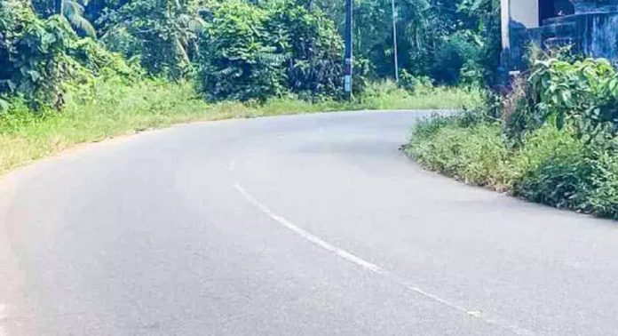അപകട ഭീഷണി ഉയര്ത്തി നെല്ലിമുകളിലെ വളവ് അപകട ഭീഷണി ഉയര്ത്തി നെല്ലിമുകളിലെ വളവ്