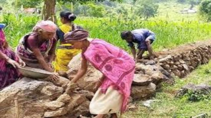 മഹാത്മാഗാന്ധി ദേശീയ തൊഴിലുറപ്പ് പദ്ധതി നടത്തിപ്പിൽ ക്രമക്കേട് ; അഞ്ച് ഉദ്യോഗസ്ഥർക്കെതിരെ നടപടിക്ക് ശുപാർശ ചെയ്ത് ഓംബുഡ്സ്മാൻ മഹാത്മാഗാന്ധി ദേശീയ തൊഴിലുറപ്പ് പദ്ധതി നടത്തിപ്പിൽ ക്രമക്കേട് ; അഞ്ച് ഉദ്യോഗസ്ഥർക്കെതിരെ നടപടിക്ക് ശുപാർശ ചെയ്ത് ഓംബുഡ്സ്മാൻ