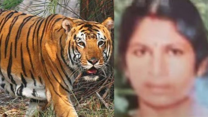 രാധയുടെ കുടുംബത്തിന് 11ലക്ഷം നഷ്ടപരിഹാരം ; കാവല്ക്കാരെ വിന്യസിക്കും; ഫെന്സിങ് നടപടി വേഗത്തിലാക്കുമെന്ന് മന്ത്രി രാധയുടെ കുടുംബത്തിന് 11ലക്ഷം നഷ്ടപരിഹാരം ; കാവല്ക്കാരെ വിന്യസിക്കും; ഫെന്സിങ് നടപടി വേഗത്തിലാക്കുമെന്ന് മന്ത്രി