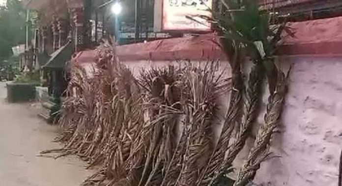 ആറന്മുള പാര്ത്ഥസാരഥി ക്ഷേത്രത്തില് ധനുമാസക്കമ്പത്തിന് തുടക്കം കുറിച്ച് തണുങ്ങ് ശേഖരണം ആരംഭിച്ചു ആറന്മുള പാര്ത്ഥസാരഥി ക്ഷേത്രത്തില് ധനുമാസക്കമ്പത്തിന് തുടക്കം കുറിച്ച് തണുങ്ങ് ശേഖരണം ആരംഭിച്ചു