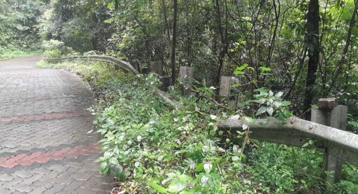 തണ്ണിത്തോട് – ചിറ്റാർ റോഡിൽ തകർന്ന ക്രാഷ് ബാരിയർ പുനസ്ഥാപിച്ചില്ല തണ്ണിത്തോട് – ചിറ്റാർ റോഡിൽ തകർന്ന ക്രാഷ് ബാരിയർ പുനസ്ഥാപിച്ചില്ല