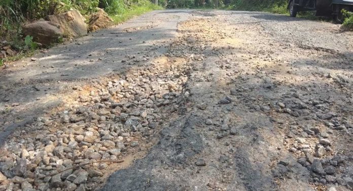 തണ്ണിത്തോട് ചിറ്റാര് റോഡ് തകര്ച്ച യാത്രക്കാരെ വലയ്ക്കുന്നു തണ്ണിത്തോട് ചിറ്റാര് റോഡ് തകര്ച്ച യാത്രക്കാരെ വലയ്ക്കുന്നു