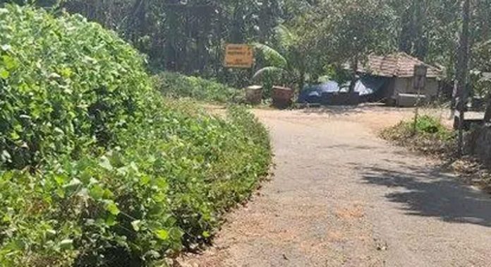 ചിറ്റാർ- വയ്യാറ്റുപുഴ റോഡിലെ വളവുകൾക്കരികിൽ കാട് വളർന്നുനിൽക്കുന്നത് അപകടഭീഷണി ഉയർത്തുന്നു ചിറ്റാർ- വയ്യാറ്റുപുഴ റോഡിലെ വളവുകൾക്കരികിൽ കാട് വളർന്നുനിൽക്കുന്നത് അപകടഭീഷണി ഉയർത്തുന്നു