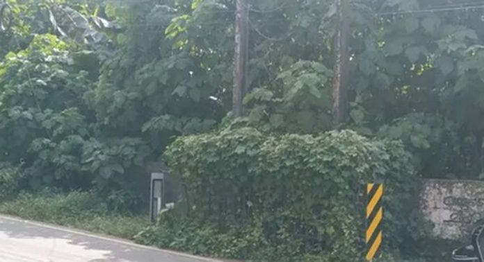 പ്രമാടം – പത്തനംതിട്ട റോഡിലെ മറൂർ കരോട്ടുപടിയിൽ സ്ഥാപിച്ചിരിക്കുന്ന കെ.എസ്.ഇ.ബിയുടെ ഉപയോഗശൂന്യമായ കമ്പിവേലി അപകട ഭീഷണിയാകുന്നു പ്രമാടം – പത്തനംതിട്ട റോഡിലെ മറൂർ കരോട്ടുപടിയിൽ സ്ഥാപിച്ചിരിക്കുന്ന കെ.എസ്.ഇ.ബിയുടെ ഉപയോഗശൂന്യമായ കമ്പിവേലി അപകട ഭീഷണിയാകുന്നു