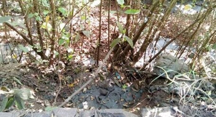 കുളനട-ആറന്മുള റോഡിൽ കക്കൂസ് മാലിന്യം ഒഴുക്കുന്നു കുളനട-ആറന്മുള റോഡിൽ കക്കൂസ് മാലിന്യം ഒഴുക്കുന്നു