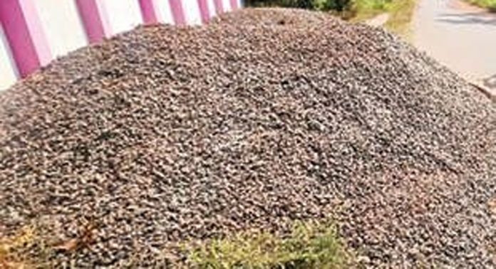 ആനയടി-പഴകുളം റോഡരികിൽ ഇറക്കിയിട്ടിരിക്കുന്ന മെറ്റൽ കൂന അപകടഭീതി സൃഷ്ടിക്കുന്നു ആനയടി-പഴകുളം റോഡരികിൽ ഇറക്കിയിട്ടിരിക്കുന്ന മെറ്റൽ കൂന അപകടഭീതി സൃഷ്ടിക്കുന്നു