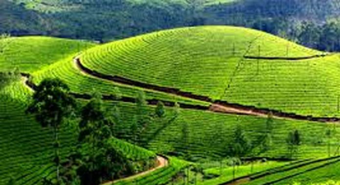മൂന്നാറില് അതിശൈത്യം ; താപനില വീണ്ടും പൂജ്യത്തിലെത്തി മൂന്നാറില് അതിശൈത്യം ; താപനില വീണ്ടും പൂജ്യത്തിലെത്തി