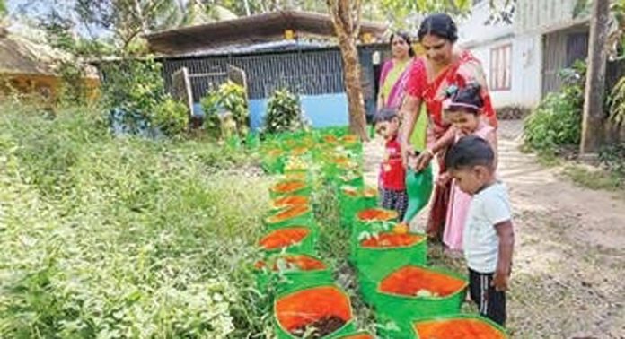 പുളിക്കീഴ് അങ്കണവാടിയില് പച്ചക്കറികൃഷി പരിപാലനം നടത്തി കുരുന്നുകള് പുളിക്കീഴ് അങ്കണവാടിയില് പച്ചക്കറികൃഷി പരിപാലനം നടത്തി കുരുന്നുകള്