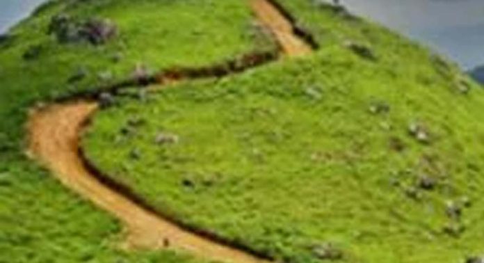 പൊന്മുടി പാതയില് മരം വീണ് ഗതാഗത തടസമുണ്ടാക്കി പൊന്മുടി പാതയില് മരം വീണ് ഗതാഗത തടസമുണ്ടാക്കി