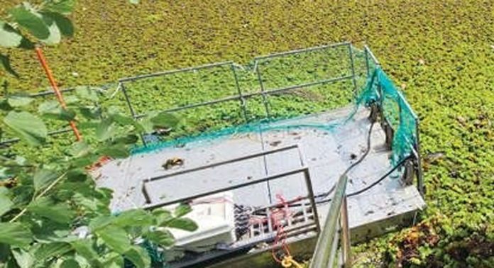 പുതിയകാവിൽ ചിറയിലെ പായൽ നീക്കാൻ ജില്ലാ ടൂറിസം പ്രമോഷൻ കൗൺസിൽ പുതിയകാവിൽ ചിറയിലെ പായൽ നീക്കാൻ ജില്ലാ ടൂറിസം പ്രമോഷൻ കൗൺസിൽ