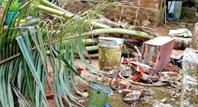 വടശേരിക്കര കുമ്പളത്താമണ്ണിൽ കാട്ടാന ശല്യം രൂക്ഷം വടശേരിക്കര കുമ്പളത്താമണ്ണിൽ കാട്ടാന ശല്യം രൂക്ഷം