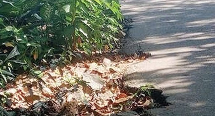 മല്ലപ്പള്ളി പൂവനക്കടവ്-ചെറുകോൽപ്പുഴ റോഡിൽ അപടഭീതി ഉയര്ത്തി കുഴി മല്ലപ്പള്ളി പൂവനക്കടവ്-ചെറുകോൽപ്പുഴ റോഡിൽ അപടഭീതി ഉയര്ത്തി കുഴി