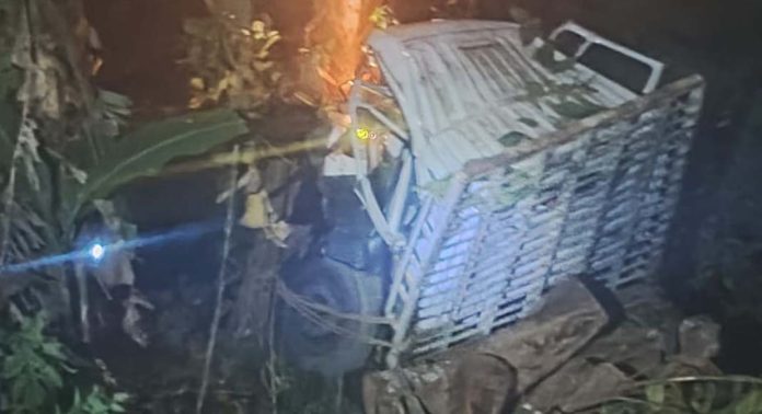 തേക്കുതോടിൽ ലോറി മറിഞ്ഞ് ഡ്രൈവർക്ക് പരിക്ക് തേക്കുതോടിൽ ലോറി മറിഞ്ഞ് ഡ്രൈവർക്ക് പരിക്ക്
