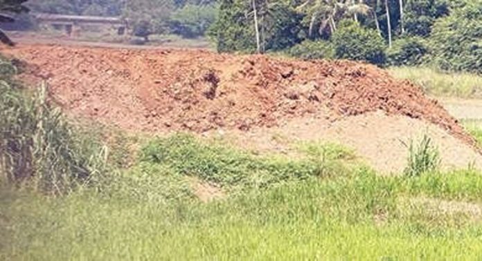 പന്നിക്കുഴി-തിരുവാനപുരം പാടം അനധികൃതമായി നികത്തുന്നു പന്നിക്കുഴി-തിരുവാനപുരം പാടം അനധികൃതമായി നികത്തുന്നു