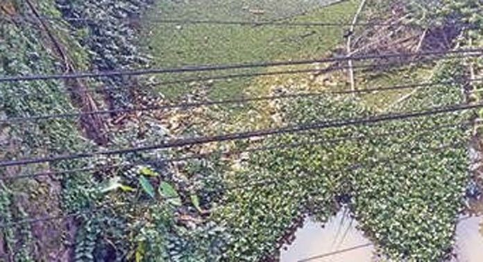 നീരൊഴുക്ക് നിലച്ച് ഇല്ലിമല-മൂഴിക്കൽ തോട് നീരൊഴുക്ക് നിലച്ച് ഇല്ലിമല-മൂഴിക്കൽ തോട്