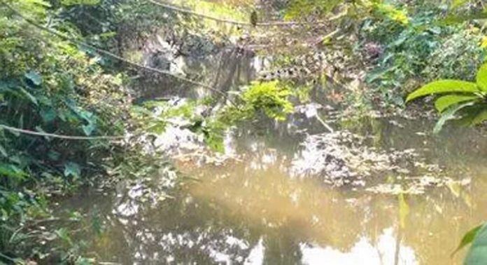 വൈക്കത്തില്ലം – വെള്ളൂർക്കടവ് തോടിന്റെ നീരൊഴുക്ക് തടസപ്പെടുത്തി മാലിന്യം വൈക്കത്തില്ലം – വെള്ളൂർക്കടവ് തോടിന്റെ നീരൊഴുക്ക് തടസപ്പെടുത്തി മാലിന്യം