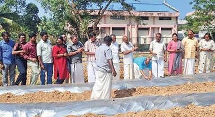 വള്ളിക്കോട് മിൽമ ഡയറിയിൽ പച്ചക്കറി കൃഷി തുടങ്ങി വള്ളിക്കോട് മിൽമ ഡയറിയിൽ പച്ചക്കറി കൃഷി തുടങ്ങി