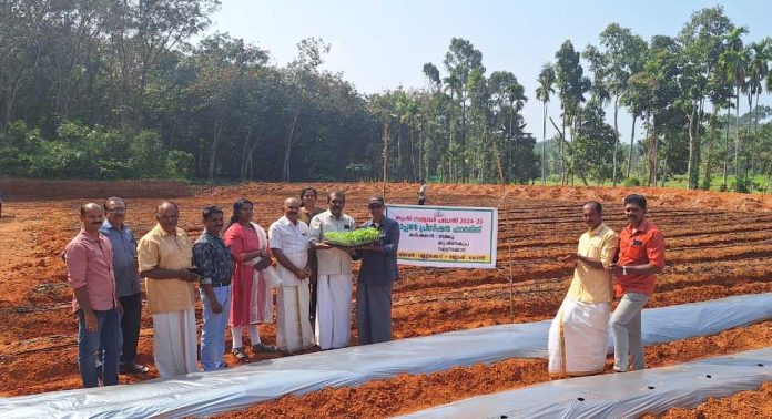 കൃഷിസമൃദ്ധി പദ്ധതിയുടെ ഭാഗമായി ഓപ്പണ് പ്രിസിഷന് ഫാംമിങ്ങിന്റെ ഉദ്ഘാടനം നടന്നു കൃഷിസമൃദ്ധി പദ്ധതിയുടെ ഭാഗമായി ഓപ്പണ് പ്രിസിഷന് ഫാംമിങ്ങിന്റെ ഉദ്ഘാടനം നടന്നു