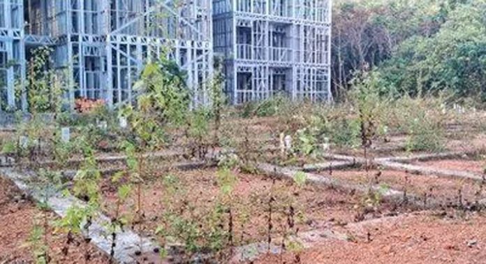 ഏനാത്ത് ലൈഫ് ഫ്ളാറ്റ് നിർമ്മാണം പാതിവഴിയില് നിലച്ചിട്ട് അഞ്ചുവർഷം ഏനാത്ത് ലൈഫ് ഫ്ളാറ്റ് നിർമ്മാണം പാതിവഴിയില് നിലച്ചിട്ട് അഞ്ചുവർഷം