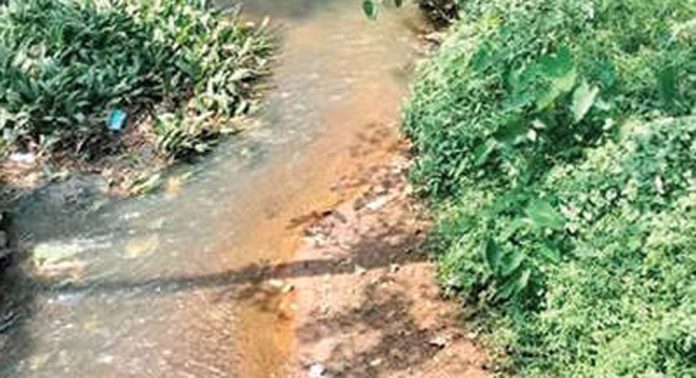 മാലിന്യത്താല് നിറഞ്ഞ് കലഞ്ഞൂർ വലിയതോട് മാലിന്യത്താല് നിറഞ്ഞ് കലഞ്ഞൂർ വലിയതോട്