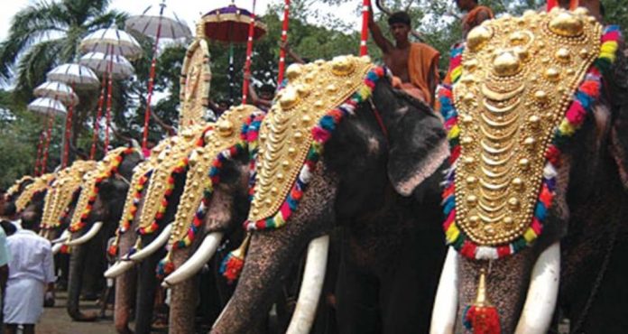 എഴുന്നള്ളിപ്പിനിടെ പാപ്പാൻ മദ്യപിച്ചാൽ പിടിവീഴും ; ആനകളുടെ തലപ്പൊക്ക മത്സരം നടത്താൻ പാടില്ല എഴുന്നള്ളിപ്പിനിടെ പാപ്പാൻ മദ്യപിച്ചാൽ പിടിവീഴും ; ആനകളുടെ തലപ്പൊക്ക മത്സരം നടത്താൻ പാടില്ല