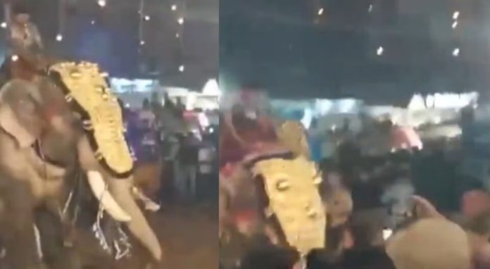 നിലമ്പൂരിൽ ഉത്സവത്തിനെത്തിച്ച ആനയിടഞ്ഞു നിലമ്പൂരിൽ ഉത്സവത്തിനെത്തിച്ച ആനയിടഞ്ഞു