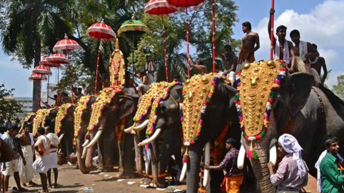 ആന എഴുന്നള്ളത്ത് : ഹൈക്കോടതി ഉത്തരവിനെതിരെ പൂരപ്രേമി സംഘം സുപ്രീം കോടതിയിൽ ആന എഴുന്നള്ളത്ത് : ഹൈക്കോടതി ഉത്തരവിനെതിരെ പൂരപ്രേമി സംഘം സുപ്രീം കോടതിയിൽ