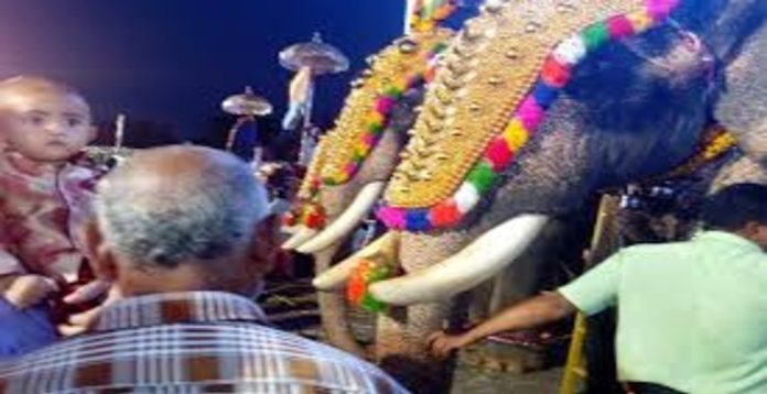 ഉത്സവത്തിനിടെ ഇടഞ്ഞ ആന കിണറില് വീണു ഉത്സവത്തിനിടെ ഇടഞ്ഞ ആന കിണറില് വീണു