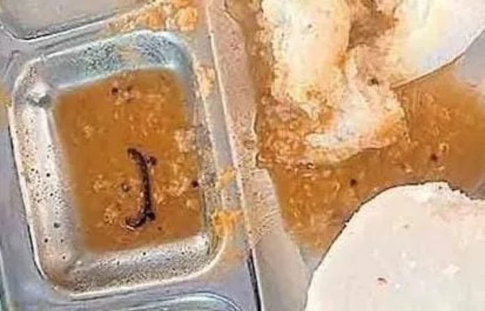 ഭക്ഷണശാലയിലെ സാമ്പാറിൽ ചത്ത തേരട്ട ; സംഭവം മെഡിക്കൽ കോളജ് ആശുപത്രിയിൽ ഭക്ഷണശാലയിലെ സാമ്പാറിൽ ചത്ത തേരട്ട ; സംഭവം മെഡിക്കൽ കോളജ് ആശുപത്രിയിൽ