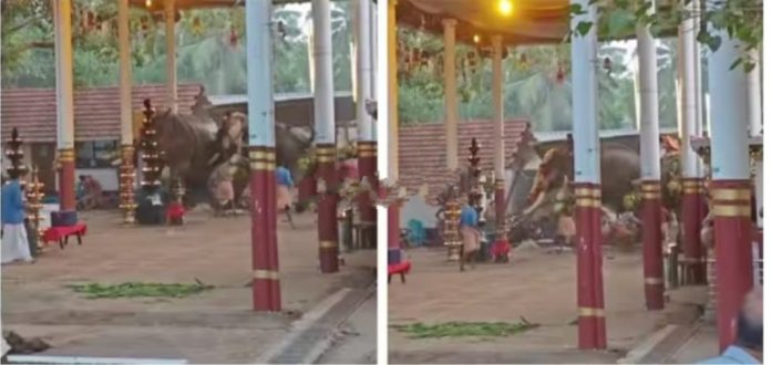 കൊയിലാണ്ടി താലൂക്ക് ആശുപത്രിയിലും കോഴിക്കോട് മെഡിക്കല് കോളേജിലും പ്രത്യേക ക്രമീകരണം ഒരുക്കി : മന്ത്രി വീണാ ജോര്ജ് കൊയിലാണ്ടി താലൂക്ക് ആശുപത്രിയിലും കോഴിക്കോട് മെഡിക്കല് കോളേജിലും പ്രത്യേക ക്രമീകരണം ഒരുക്കി : മന്ത്രി വീണാ ജോര്ജ്