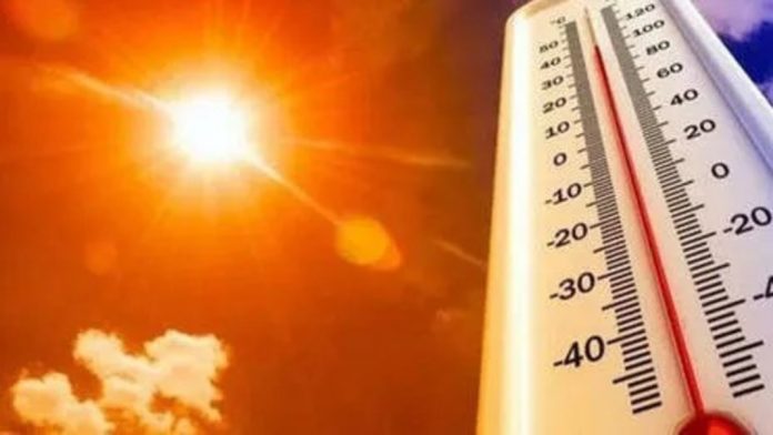 വെയിലിന് കാഠിന്യം കനക്കുന്നു ; പാലക്കാട് 38 ഡിഗ്രി സെൽഷ്യസ് രേഖപ്പെടുത്തി വെയിലിന് കാഠിന്യം കനക്കുന്നു ; പാലക്കാട് 38 ഡിഗ്രി സെൽഷ്യസ് രേഖപ്പെടുത്തി