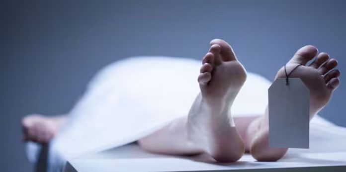 ഓട്ടോറിക്ഷ മറിഞ്ഞ് വിദ്യാർഥിനിയ്ക്ക് ദാരുണാന്ത്യം ഓട്ടോറിക്ഷ മറിഞ്ഞ് വിദ്യാർഥിനിയ്ക്ക് ദാരുണാന്ത്യം