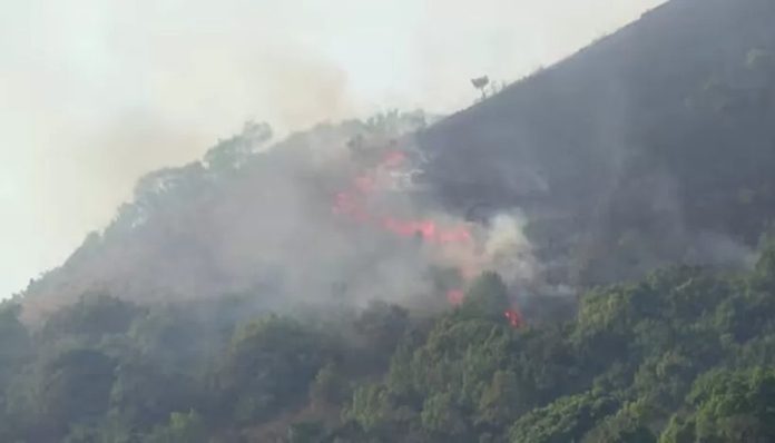 കമ്പമലയ്ക്ക് തീയിട്ടത് പഞ്ചാരക്കൊല്ലി സ്വദേശി ; വനംവകുപ്പ് ഉദ്യോഗസ്ഥർ പിടികൂടി കമ്പമലയ്ക്ക് തീയിട്ടത് പഞ്ചാരക്കൊല്ലി സ്വദേശി ; വനംവകുപ്പ് ഉദ്യോഗസ്ഥർ പിടികൂടി