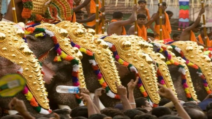 കോഴിക്കോട് ജില്ലയിലെ ഉത്സവങ്ങളില് ഒരാനയെ വീതം എഴുന്നള്ളിക്കാൻ അനുമതി കോഴിക്കോട് ജില്ലയിലെ ഉത്സവങ്ങളില് ഒരാനയെ വീതം എഴുന്നള്ളിക്കാൻ അനുമതി