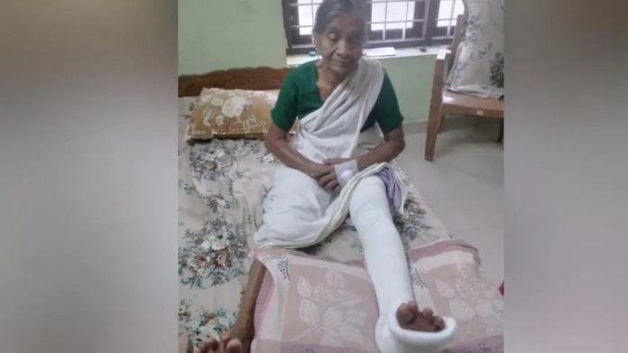 കാട്ടുപന്നിയുടെ ആക്രമണത്തിൽ വയോധികയ്ക്ക് പരിക്ക് കാട്ടുപന്നിയുടെ ആക്രമണത്തിൽ വയോധികയ്ക്ക് പരിക്ക്